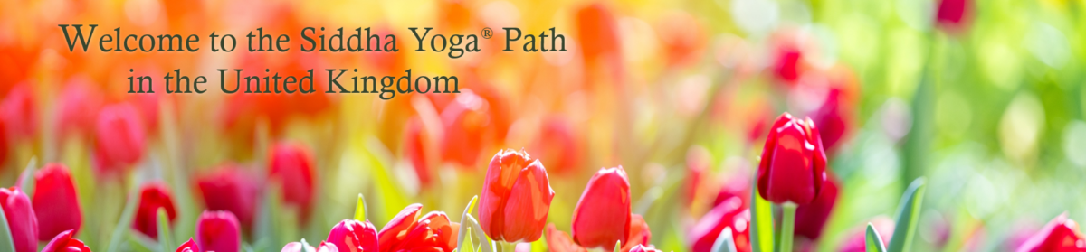 Siddha Yoga® United Kingdom